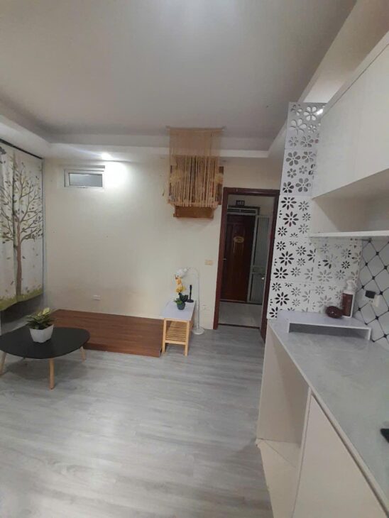 ???? Chung Cư mini Vũ Tông Phan – 2 Phòng Ngủ – Thoáng Sáng – Giá Sốc!