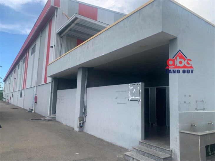 nhà xưởng sản xuất đầu tư đa dạng ngành nghề, kết cấu kiên cố, bàn giao liền