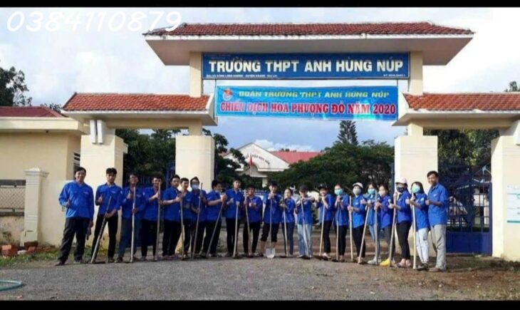 4 héc cao su thiên nhiên đang đến thu mủ, 2 TỶ
