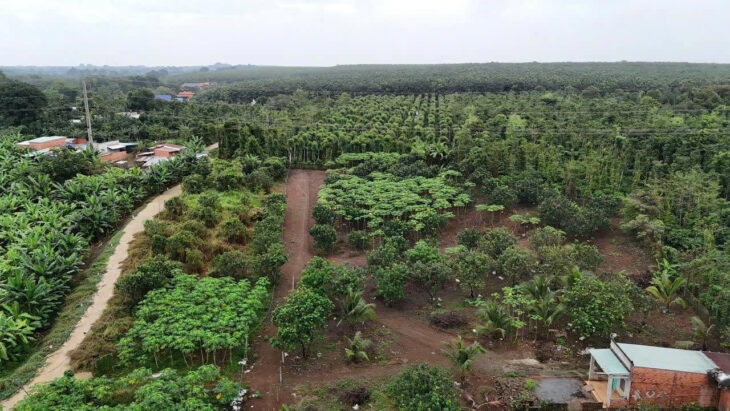 Chủ cần bán gấp 5000mv mt bê tông ô tô cách nhựa 50m