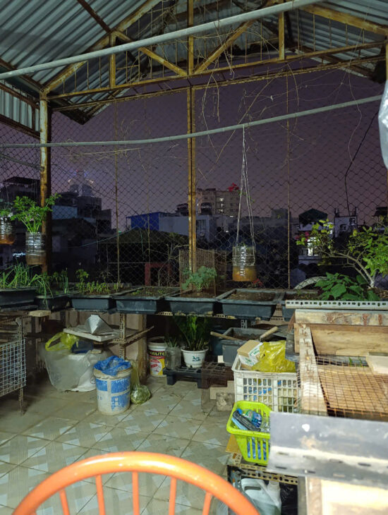 MẶT PHỐ – Ô TÔ ĐỖ CỬA – ĐỐNG ĐA QUẬN- Huỳnh Thúc Kháng 85m2, 5 T. Hai thoáng, MT3,8m,36 tỷ