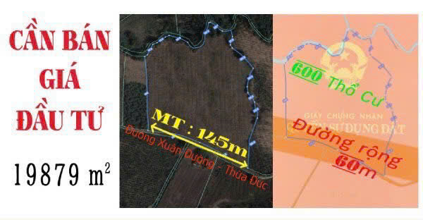 Chủ cần tiền đi Mỹ bán 5 sổ 2ha đấtsân bay Đồng Nai