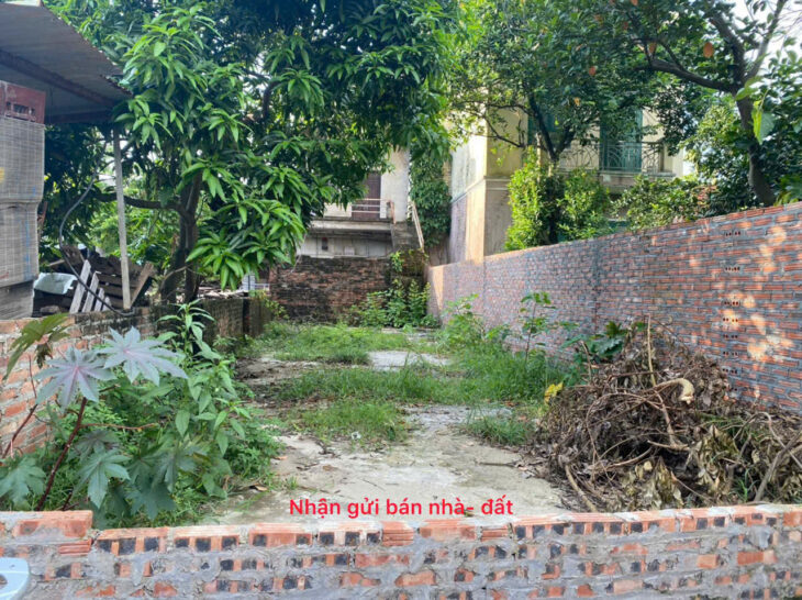 Bán đất Chi Đông, Mê Linh, HN. Gần đường Quang Minh và khu công nghiệp, vị trí đắc địa.