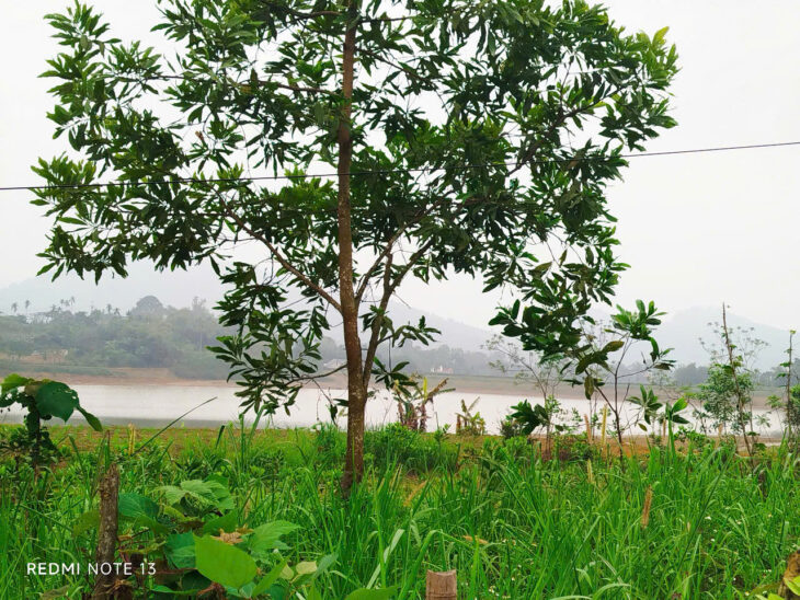 Đất nền đầu cơ giá rẻ tại Thanh Hóa cần bán gấp. Chỉ nhỉnh 200tr sở hữu ngay 1 lô đất rộng 125m2.