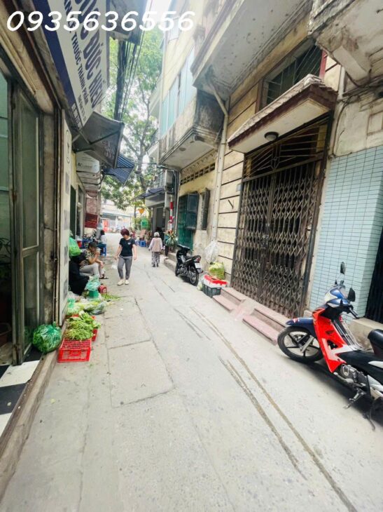 BÁN ĐẤT TRUNG TÂM QUẬN HOÀNG MAI – TRƯƠNG ĐỊNH – KINH DOANH – Ô TÔ – XÂY CCMN CỰC HOT