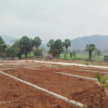 Đất phân lô giá rẻ tại Thanh Hóa cần bán gấp, giá đầu tư F0 vị trí thuận lợi gần trung tâm xã.