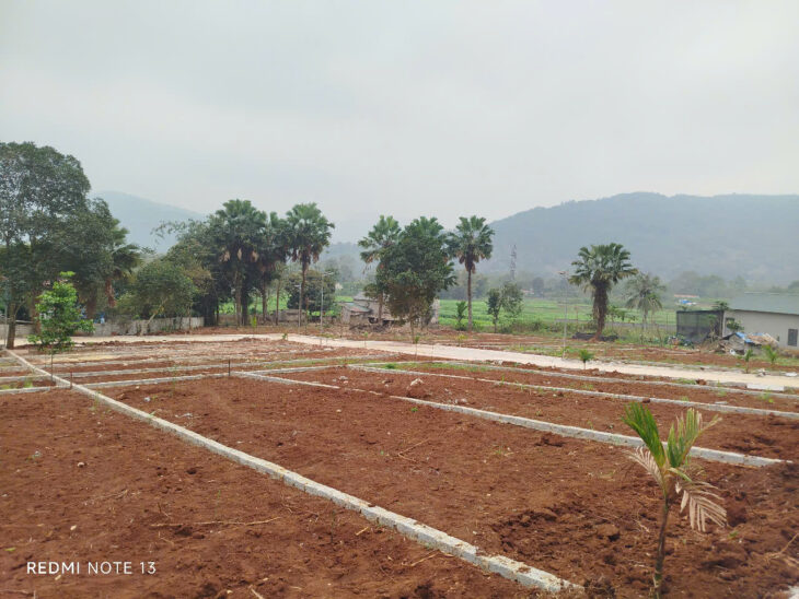 Đất nền đầu cơ giá rẻ tại Thanh Hóa cần bán gấp. Chỉ nhỉnh 200tr sở hữu ngay 1 lô đất rộng 125m2.