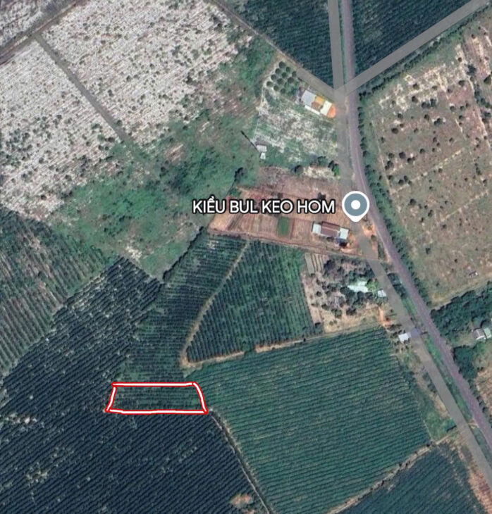 Đất Đẹp Thắng Hải – 1236m² Giá Chỉ 1,2 Tỷ – Đầu Tư Sinh Lời Cao