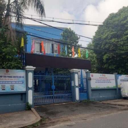 Bán Nhà 38m2 Lê Đức Thọ Phường 16 Gò Vấp TP. Hồ Chí Minh có 3 tỏi x