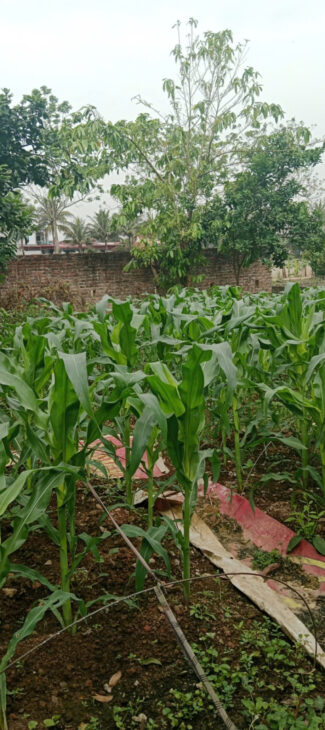 – Viêm Khê( Mỹ Hà ) – Hợp Tiến – Mỹ Đức – Hà Nội