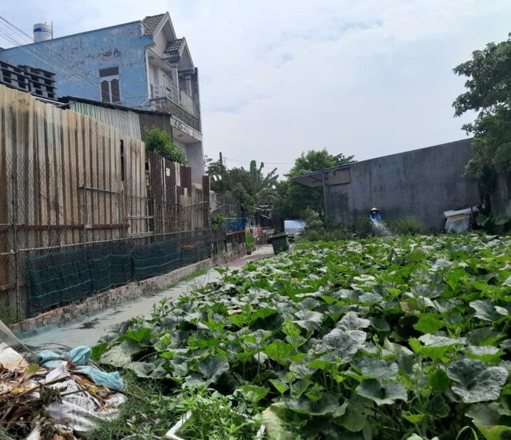 Đất Lô Góc 188m2 có 6 tỷ x Mặt tiền Đông Thạnh Hóc Môn Hồ Chí Minh.