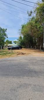 CHÍNH CHỦ BÁN GẤP ĐẤT BÀU BÀNG 250m² – GẦN KHU CÔNG NGHIỆP – GIÁ 460 TRIỆU