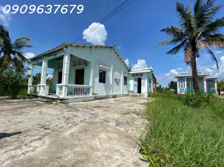 Gấp gấp Bán Nhà vườn có diện tích vuông vức (300m2 Thổ + 1004m2 vườn) Xã Tân Chánh H cần Đước Long