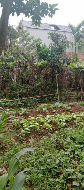 – Viêm Khê( Mỹ Hà ) – Hợp Tiến – Mỹ Đức – Hà Nội