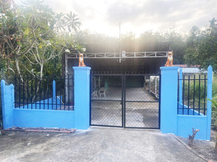 Bán nhà đường số 979E – 353m2 – 6×61 – 300m2 thổ cư – xã Phạm Văn Cội – Củ Chi