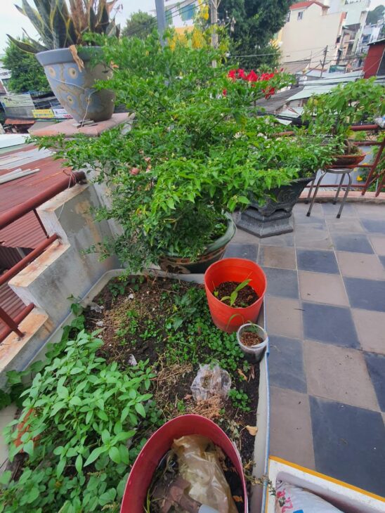 MẶT TIỀN KINH DOANH. VỊ TRÍ VÍP. HIẾM NHÀ BÁN. LINH TRUNG. 69.6M. GIÁ 9.7 TỶ. THƯƠNG LƯỢNG