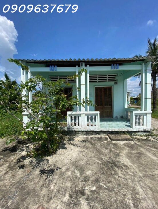 Gấp gấp Bán Nhà vườn có diện tích vuông vức (300m2 Thổ + 1004m2 vườn) Xã Tân Chánh H cần Đước Long