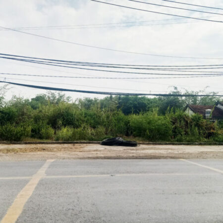 Đất đường Tỉnh Lộ 15 – 548m2 – 19×32 – 123m2 thổ cư – xã Phú Hòa Đông – Củ Chi