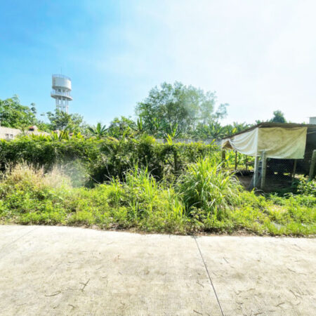 Đất 1/ đường Nguyễn Thị Nê – 397m2 – 20×20 – 339m2 thổ cư – xã Phú Hòa Đông – Củ Chi