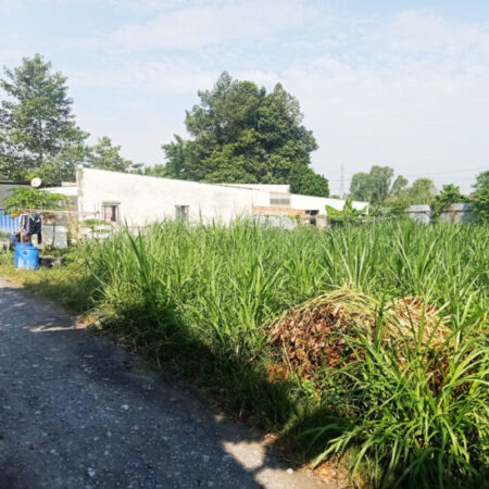 Bán đất 1/ đường Võ Thị Hết – 1000m2 – 35×26 – 137m2 thổ cư – xã Hòa Phú – Củ Chi