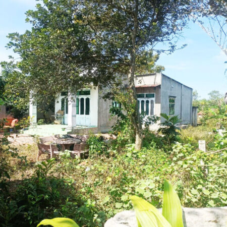 Bán nhà vườn đường 825 – 1128m2 – 14×60 nở hậu 30m – 45m2 thổ cư – xã Phú Mỹ Hưng – Củ Chi