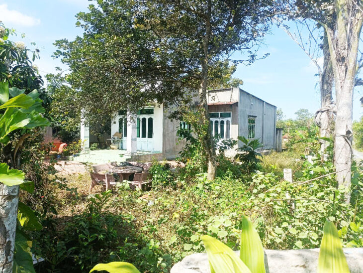 Bán nhà vườn đường 825 – 1128m2 – 14×60 nở hậu 30m – 45m2 thổ cư – xã Phú Mỹ Hưng – Củ Chi