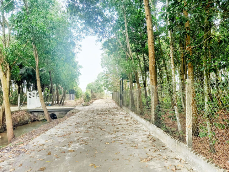 Bán đất 1/ đường Võ Văn Điều – 790m2 – 15×61 nở hậu 17m – xã Phước Thạnh – Củ Chi