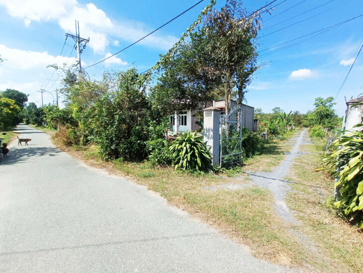 Bán nhà vườn đường 825 – 1128m2 – 14×60 nở hậu 30m – 45m2 thổ cư – xã Phú Mỹ Hưng – Củ Chi