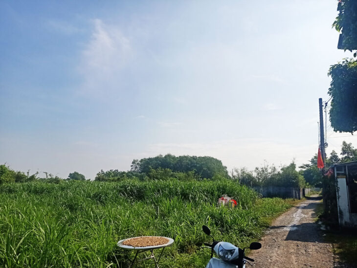 Bán đất 1/ đường Võ Thị Hết – 1000m2 – 35×26 – 137m2 thổ cư – xã Hòa Phú – Củ Chi