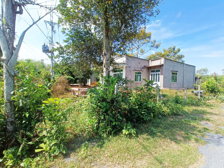 Bán nhà vườn đường 825 – 1128m2 – 14×60 nở hậu 30m – 45m2 thổ cư – xã Phú Mỹ Hưng – Củ Chi