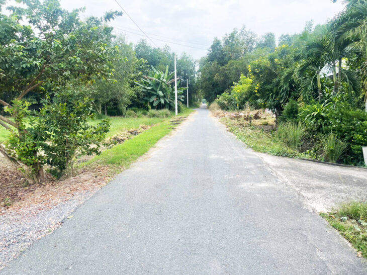 Bán nhà đường số 979E – 353m2 – 6×61 – 300m2 thổ cư – xã Phạm Văn Cội – Củ Chi