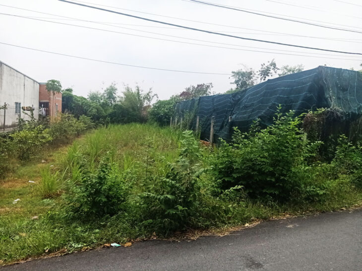 Bán đất đường Huỳnh Thị Kiểu – 263m2 – 7×38 – 200m2 thổ cư – xã Trung Lập Thượng – Củ Chi