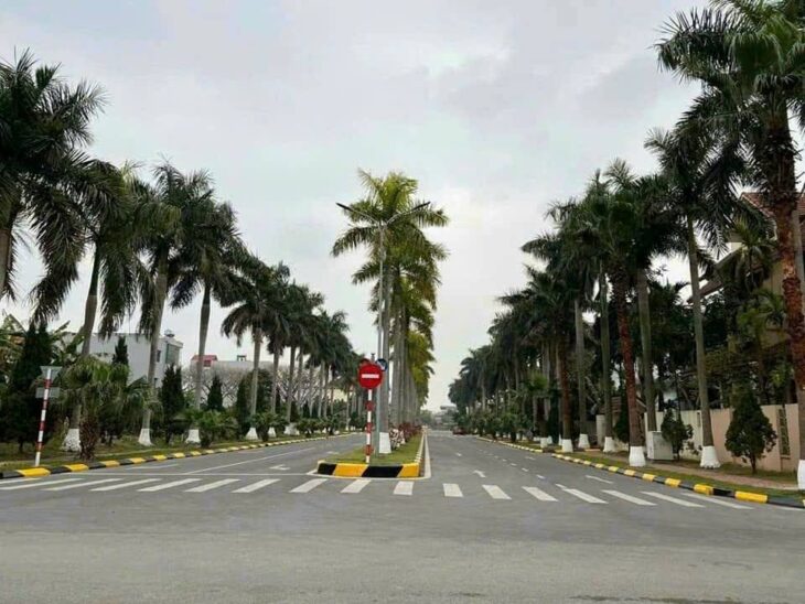 Bán Đất Đại An, Tứ Minh, Hải Dương siêu đẹp giá đầu tư