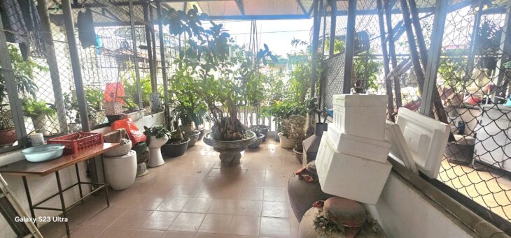 CỰC HIẾM – NHÀ VŨ NGỌC PHAN 43M2 – 5 TẦNG – 10 TỶ – NGÕ THÔNG – NHÀ THOÁNG TRƯỚC SAU – TT ĐỐNG ĐA