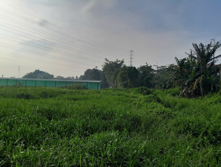 Đất Khủng 2595m2 có 26 tỷ x Mặt tiền Nguyễn Thị Điệp Đông Thạnh Hóc Môn TP. Hồ Chí Minh.