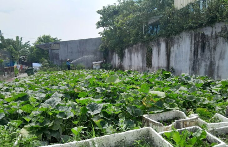 Đất Lô Góc 188m2 có 6 tỷ x Mặt tiền Đông Thạnh Hóc Môn Hồ Chí Minh.