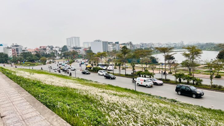 BÁN ĐẤT MẶT PHỐ TƯ ĐÌNH – LONG BIÊN, 114m², mặt tiền 8m