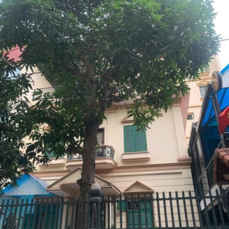 Biệt thự sân vườn Nguyễn Văn Cừ-Ngọc Lâm, 305m x 4 tầng, mặt tiền 12m, ôtô tránh, sân vườn để được