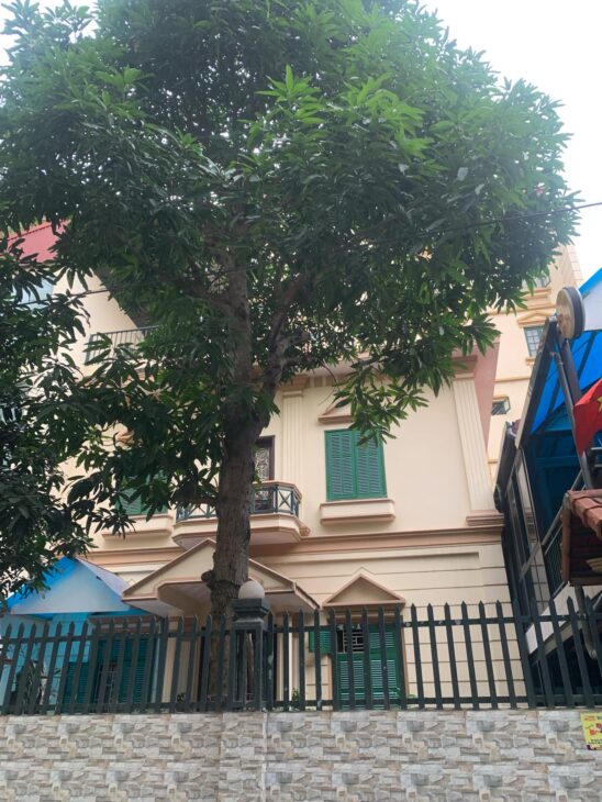 Biệt thự sân vườn Nguyễn Văn Cừ-Ngọc Lâm, 305m x 4 tầng, mặt tiền 12m, ôtô tránh, sân vườn để được
