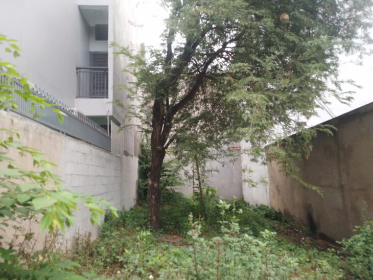 6m x 22,2m = 5 tỷ x Bùi Văn Ngữ Hiệp Thành Quận 12 TP. Hồ Chí Minh.