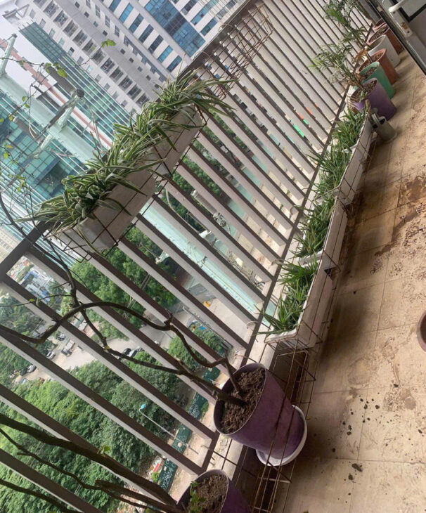 Cho thuê : cho thuê căn hộ 17 tố hữu Dt 85m2xtầng 7, 2 ngủ 2 vs ,ban công ,giá thuê 12 triệu tháng