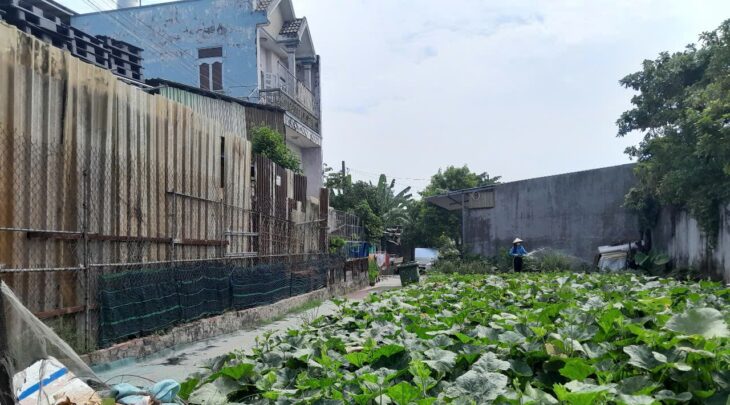 Đất Lô Góc 188m2 có 6 tỷ x Mặt tiền Đông Thạnh Hóc Môn Hồ Chí Minh.