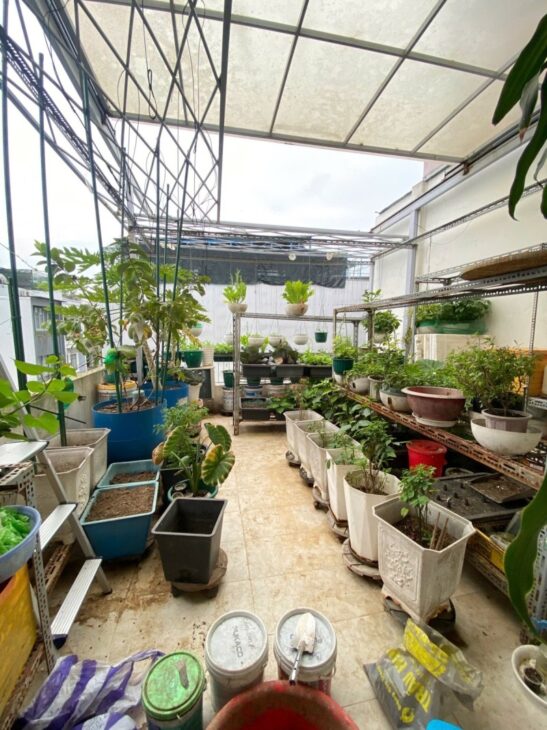 ♥ Nhà Mặt Tiền Bàu Hạc gần Big C, 64m2, 3 tầng đúc còn mới, 6.x tỷ