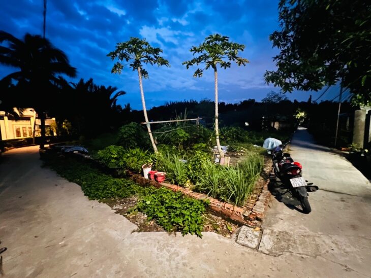 BÁN LÔ ĐẤT GÓC 3MT 487M2 – QL50 BÌNH CHÁNH-THÍCH HỢP PHÂN LÔ GIÁ 4.2 TỶ