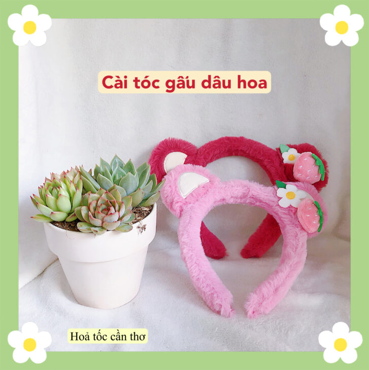 Dọn kho sale những mẫu cài tóc xinh