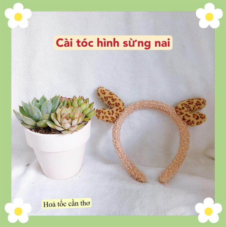 Dọn kho sale những mẫu cài tóc xinh