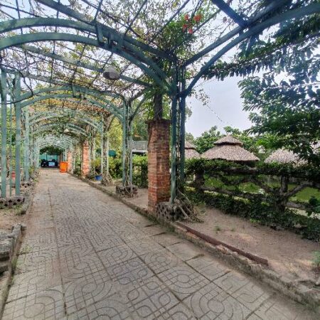 Bán đất Bình Phú, Tam phú, Thủ Đức, 1821m2, Mặt tiền kinh doanh, Gía chỉ 50.6 Tỷ TL