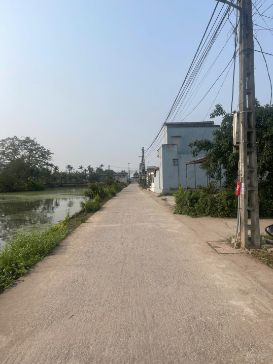 CHÍNH CHỦ GỬI BÁN ĐẤT TẠI THÔN NAM ĐẠI – XÃ QUỲNH BẢO – QUỲNH PHỤ – THÁI BÌNH