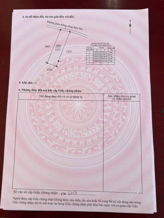 Chính Chủ Cần Bán Đất Lúa Ở Cần Đước – Long An