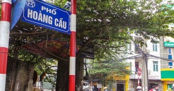Hoàng Cầu – toà nhà 9 tầng – 338m² – Lô góc – View hồ Hoàng Cầu – 152 tỷ